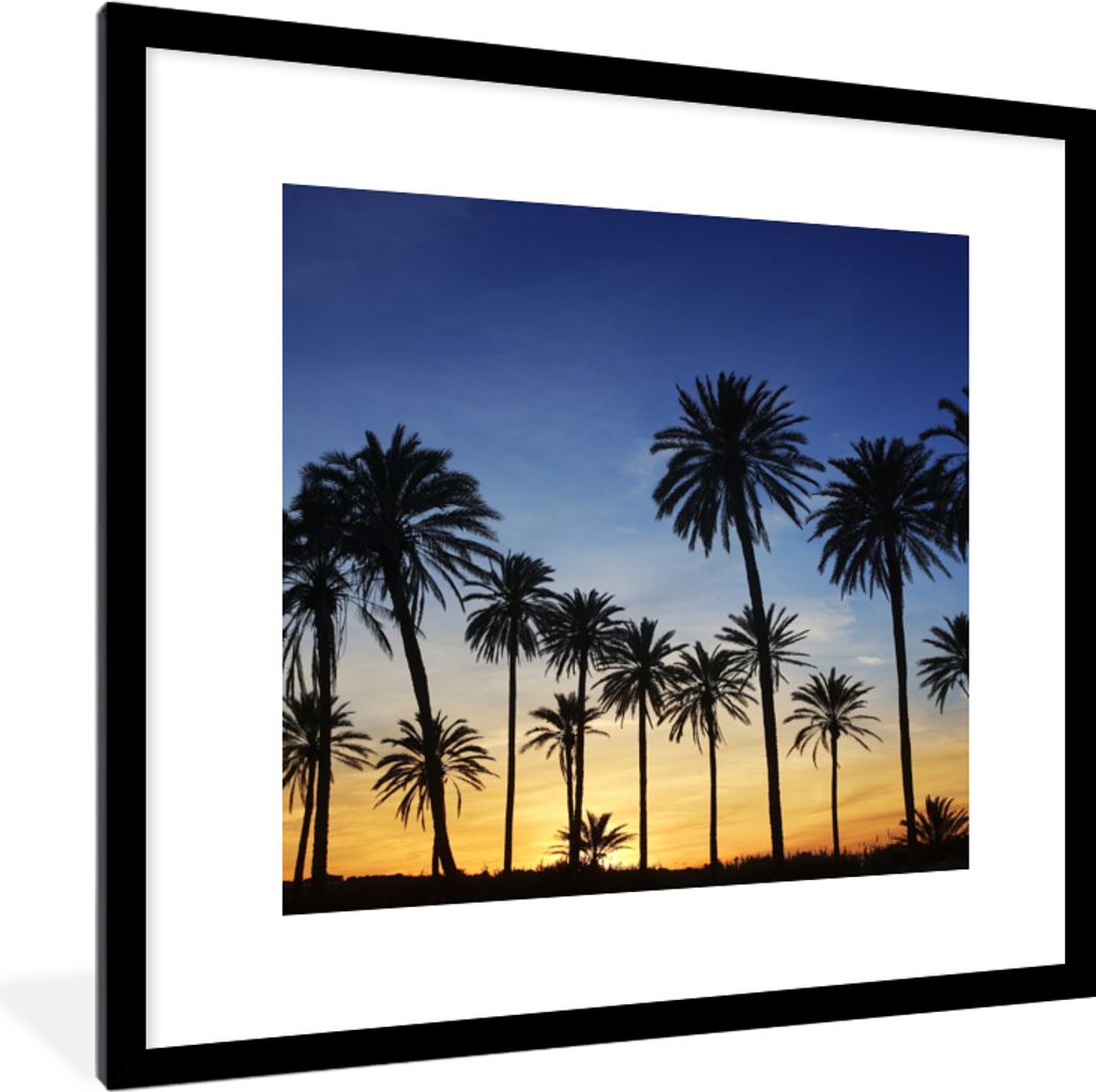 MuchoWow Gerahmtes Poster Palme - Natur - Strand - Sonne - Nacht 40x40 cm - Poster mit Schwarzem Bilderrahmen Wandposter Rahmen Foto Bilder - Pos...