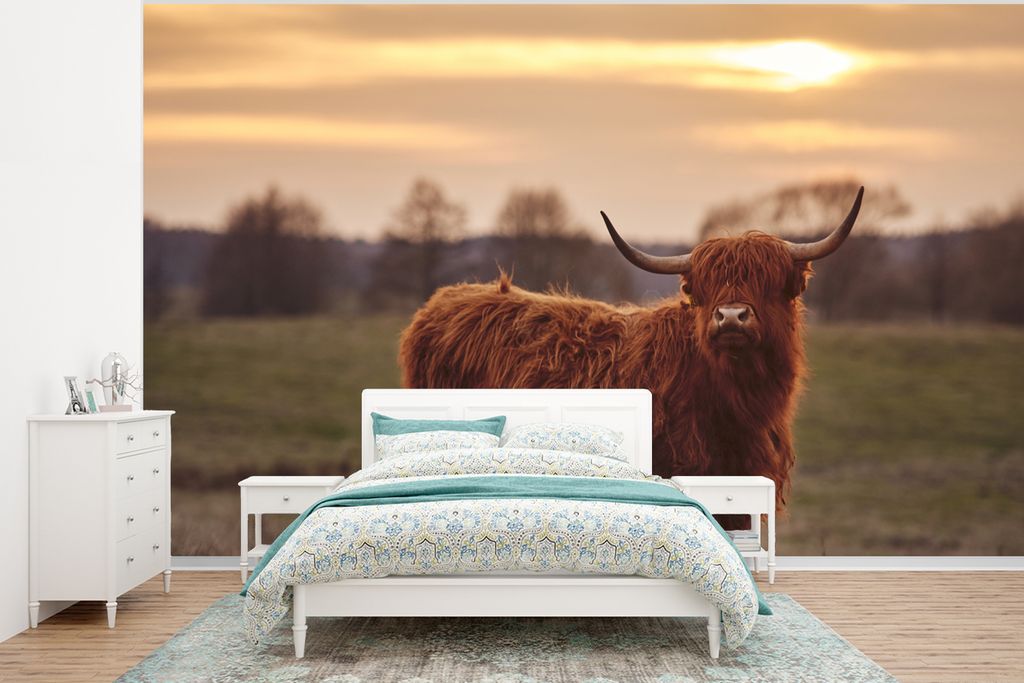 MuchoWow Fototapete für Wohnzimmer oder Schlafzimmer Wandtapete Vinyl Motivtapete Schottische Highlander - Tiere - Landschaft - Sonnenuntergang ...