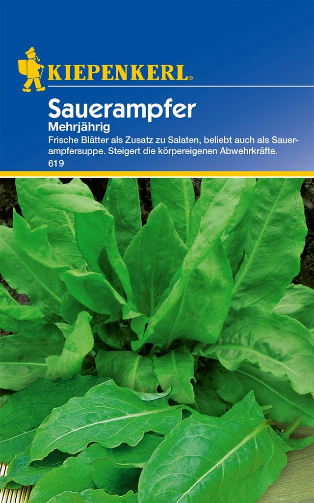 Sauerampfer (mehrjährig), frische Blätter als zusatz für Produktbild 