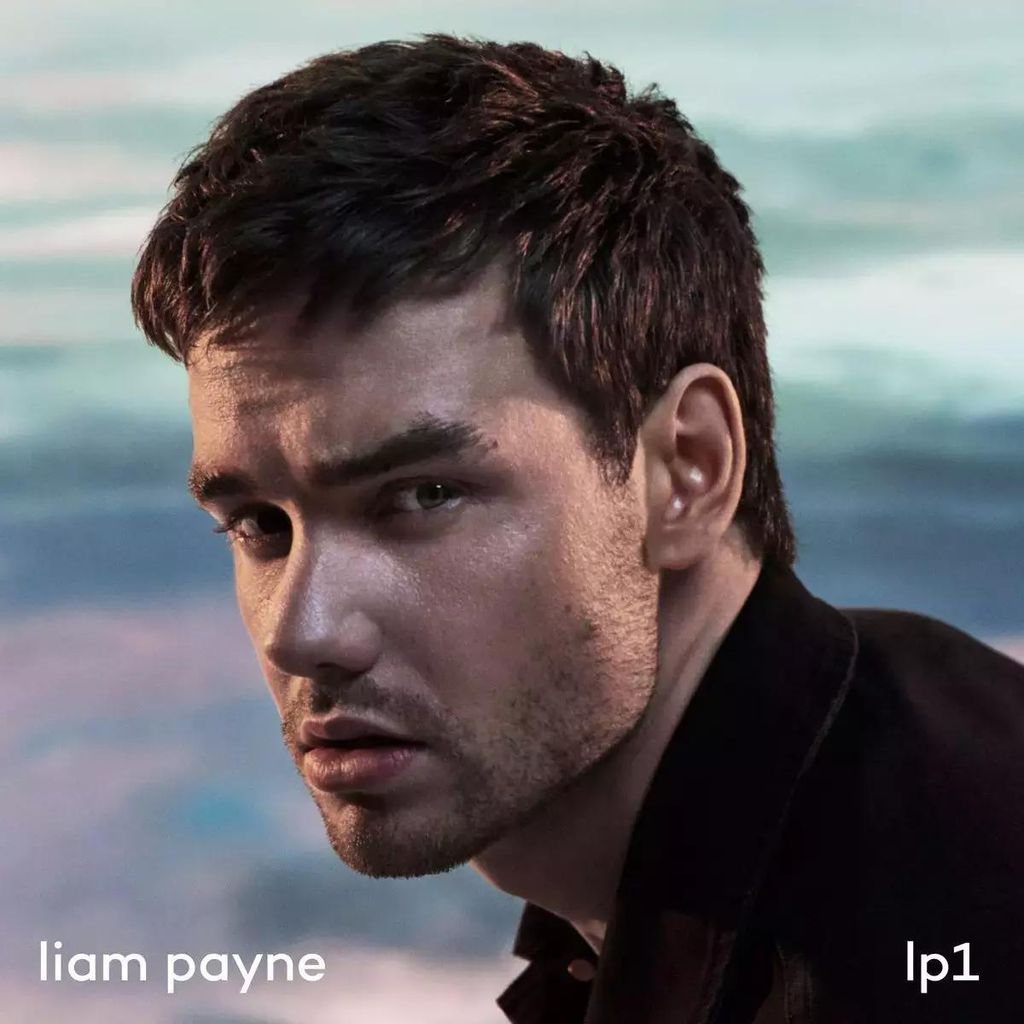 Lp1 Immagine del prodotto 