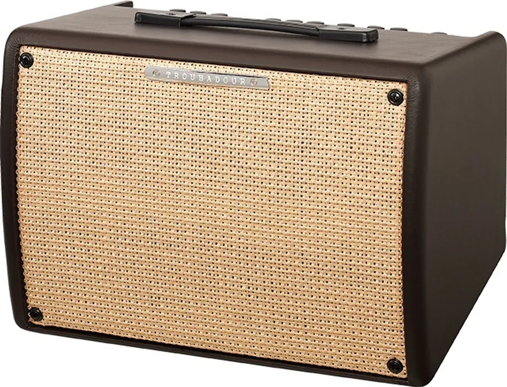 Ibanez T30II Troubadour Combo Ampli Acoustique 30W avec Haut-Parleur 8"