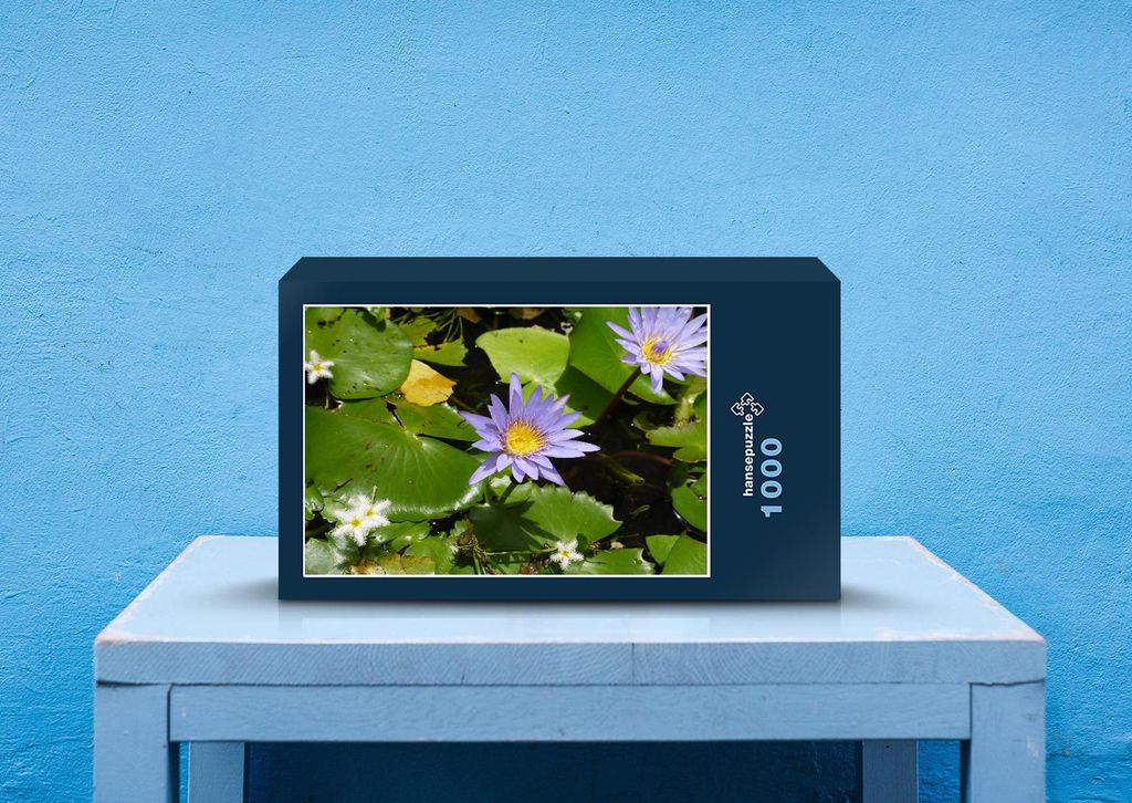 hansepuzzle 25908 - Seerose Puzzle, 1000 Teile, Natur, 60,0 x 46,0cm mit hochwertiger Aufbewahrung, Kartonbox und wiederverschließbarem Beutel