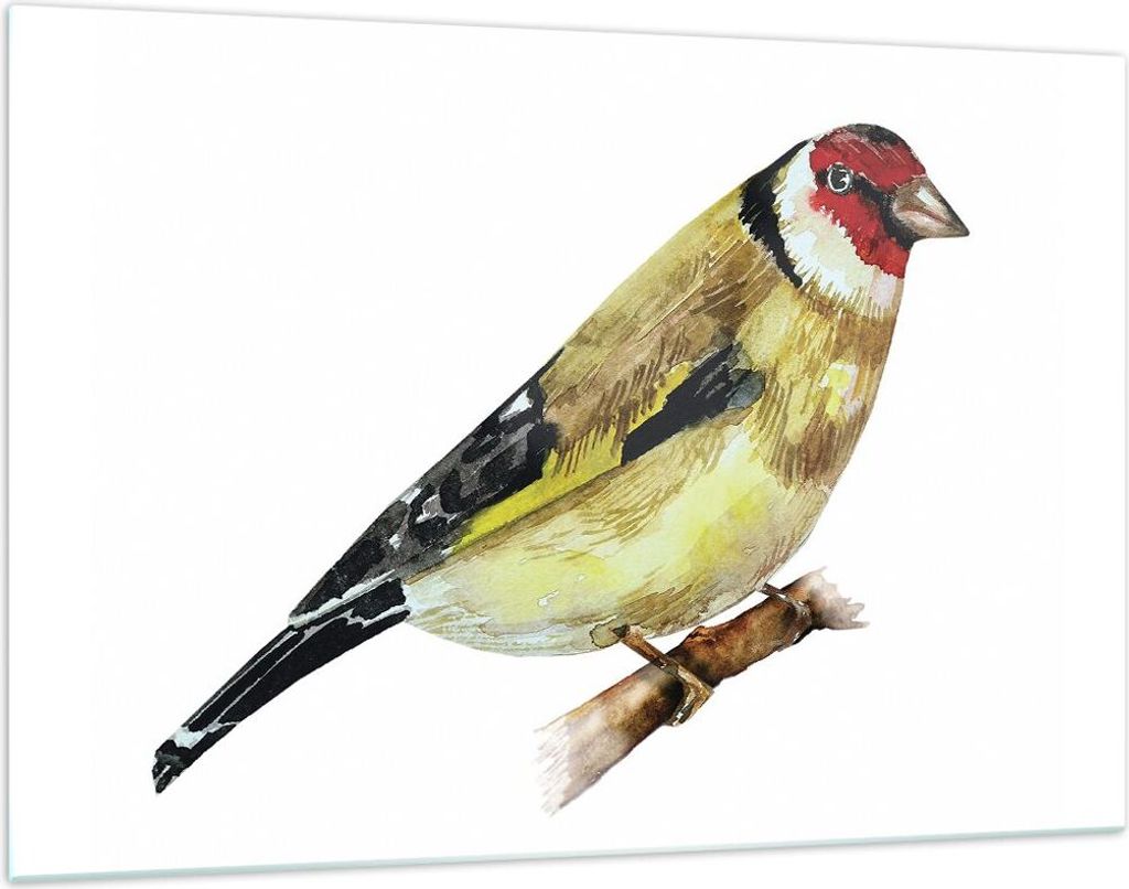 Bilder auf glas - Einteilig - Stieglitz Vogel Aquarell - 120x80cm - Glasbilder - Wandbilder - Bilder - zum Aufhängen bereit - Wanddekoration aus G...