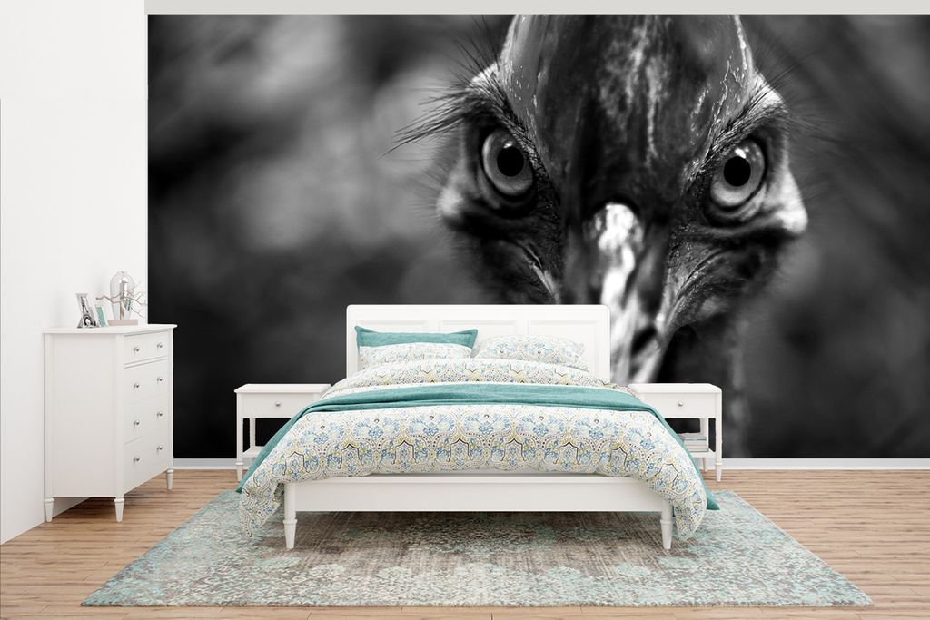 MuchoWow Fototapete für Wohnzimmer oder Schlafzimmer Wandtapete Vinyl Motivtapete Nahaufnahme eines Kasuars - schwarz und weiß - 430x240 cm - G...