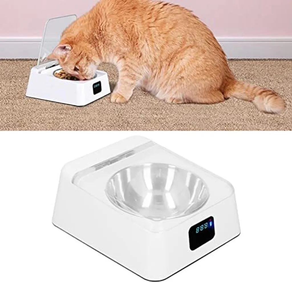 Mangiatoia Automatica Design | Dispenser Cibo Gatti con Sensore Silenzioso