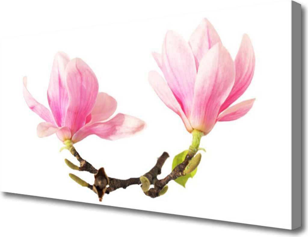 Tulup Leinwand-Bilder 100x50 Wandbild Canvas Kunstdruck Blumen Pflanzen