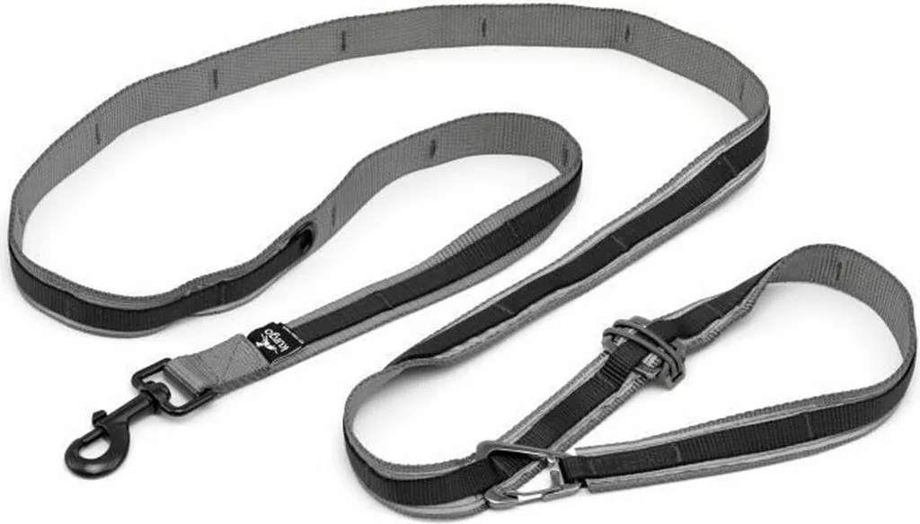 Laisse mains libres Kurgo Quantum en nylon noir réglable