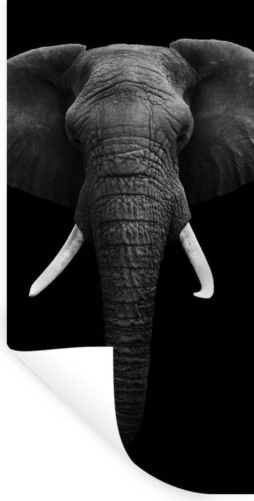 MuchoWow Wandtattoo Wandsticker Wandaufkleber Elefant - Wildtiere - Schwarz - Weiß - Porträt 40x80 cm Selbstklebend und Repositionierbar - Repo...