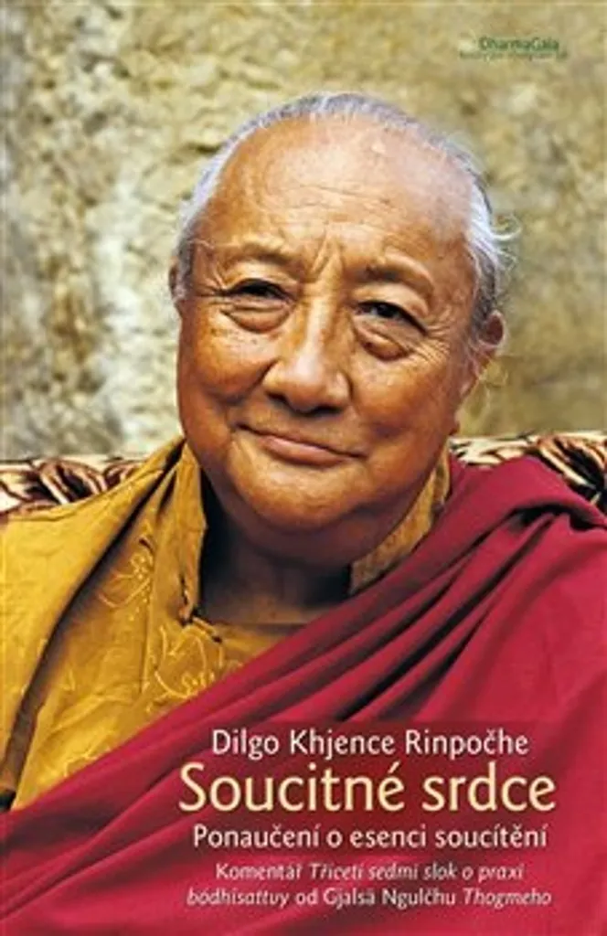 Essence du Souci et Compassion Commentaire de Thogmeho pour l'Esprit