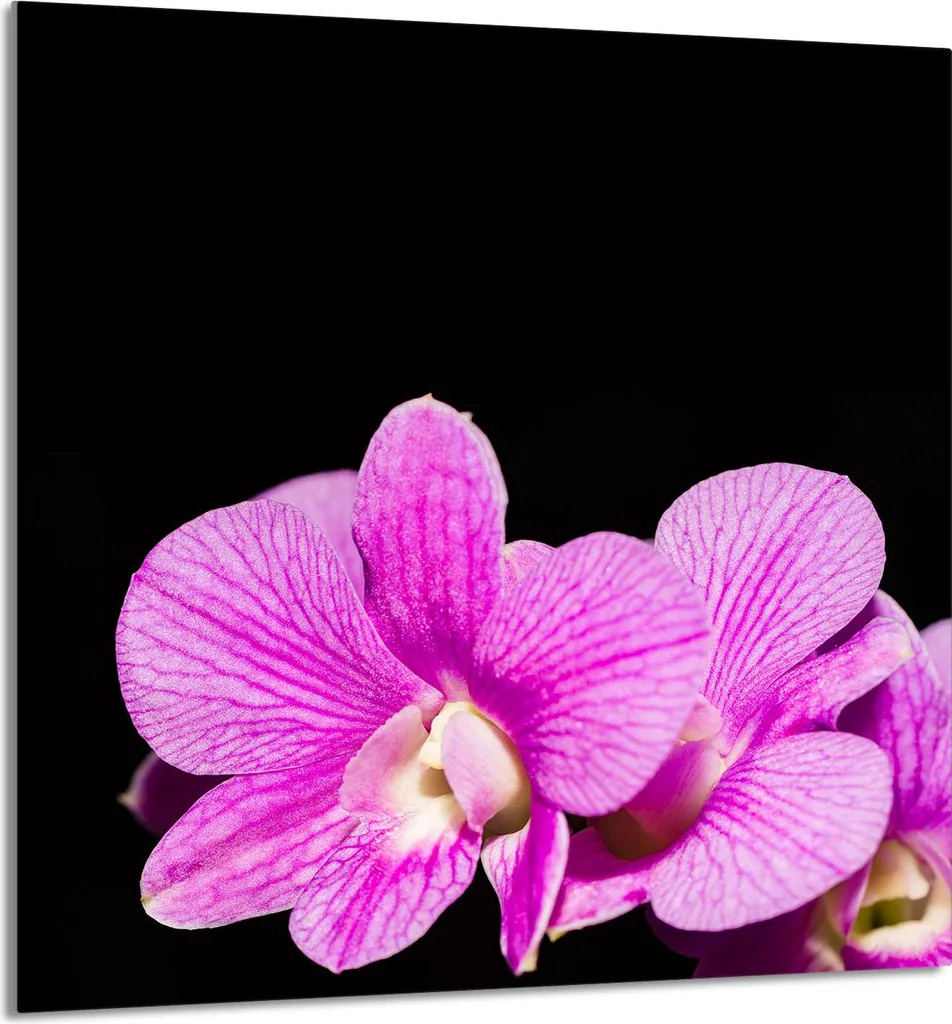 Piastra in Vetro Temperato 60x65 Orchidea - Certificata per Alti Carichi