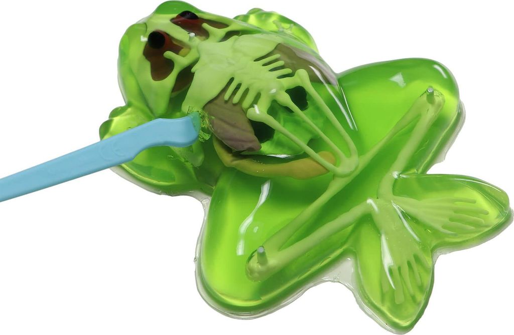 Slimy Lab DISSECT-IT - Ontleed een Kikker