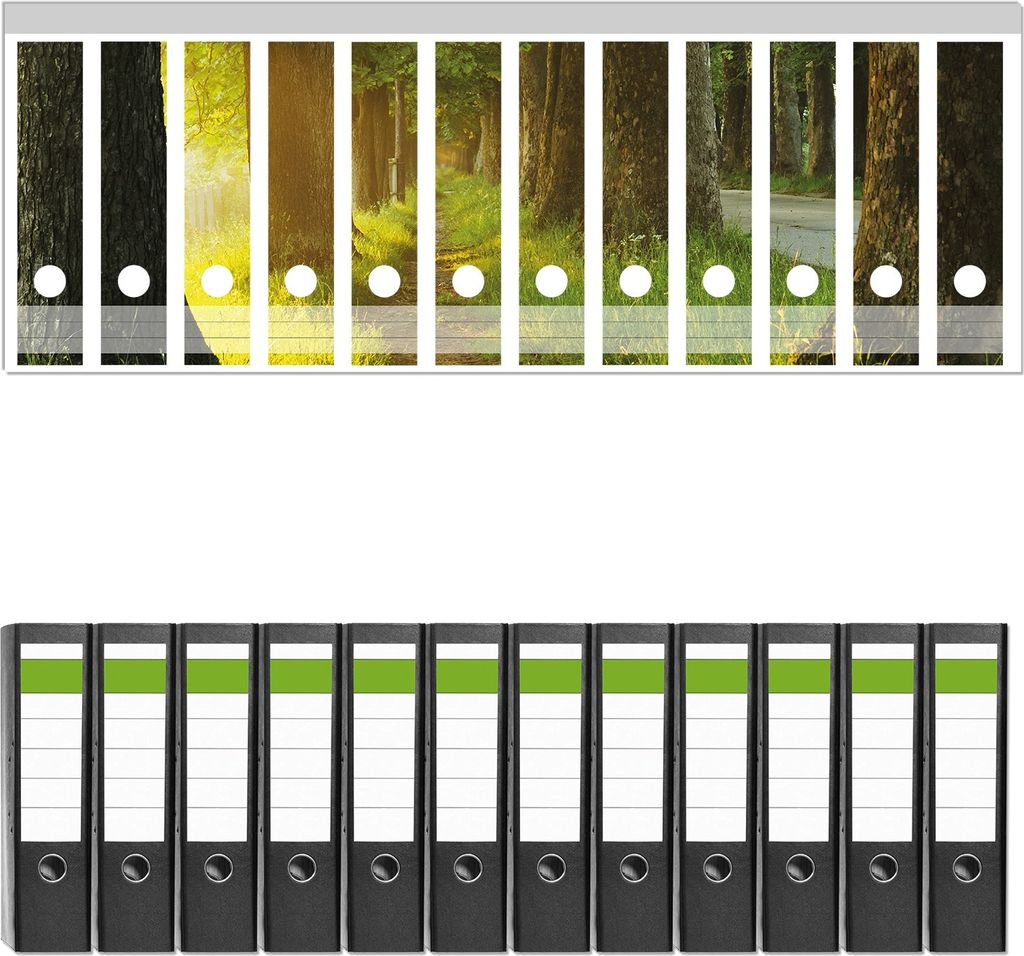 Wallario 12 Stück breite Ordner inkl. Klebeetiketten mit Motive Allee bei Sonnenuntergang - Set mit Rückenschildern / Ordnerrücken Stickern