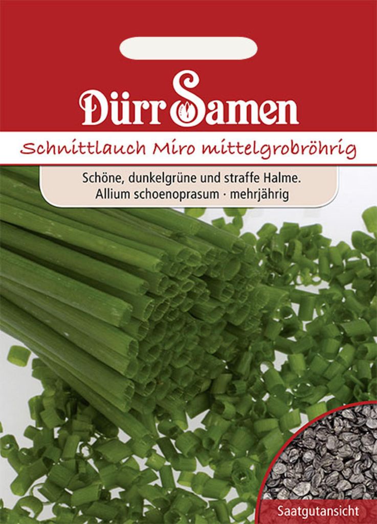 Dürr-Samen - Schnittlauch Mittelgrobröhrig Miro - Saatgut - 0166