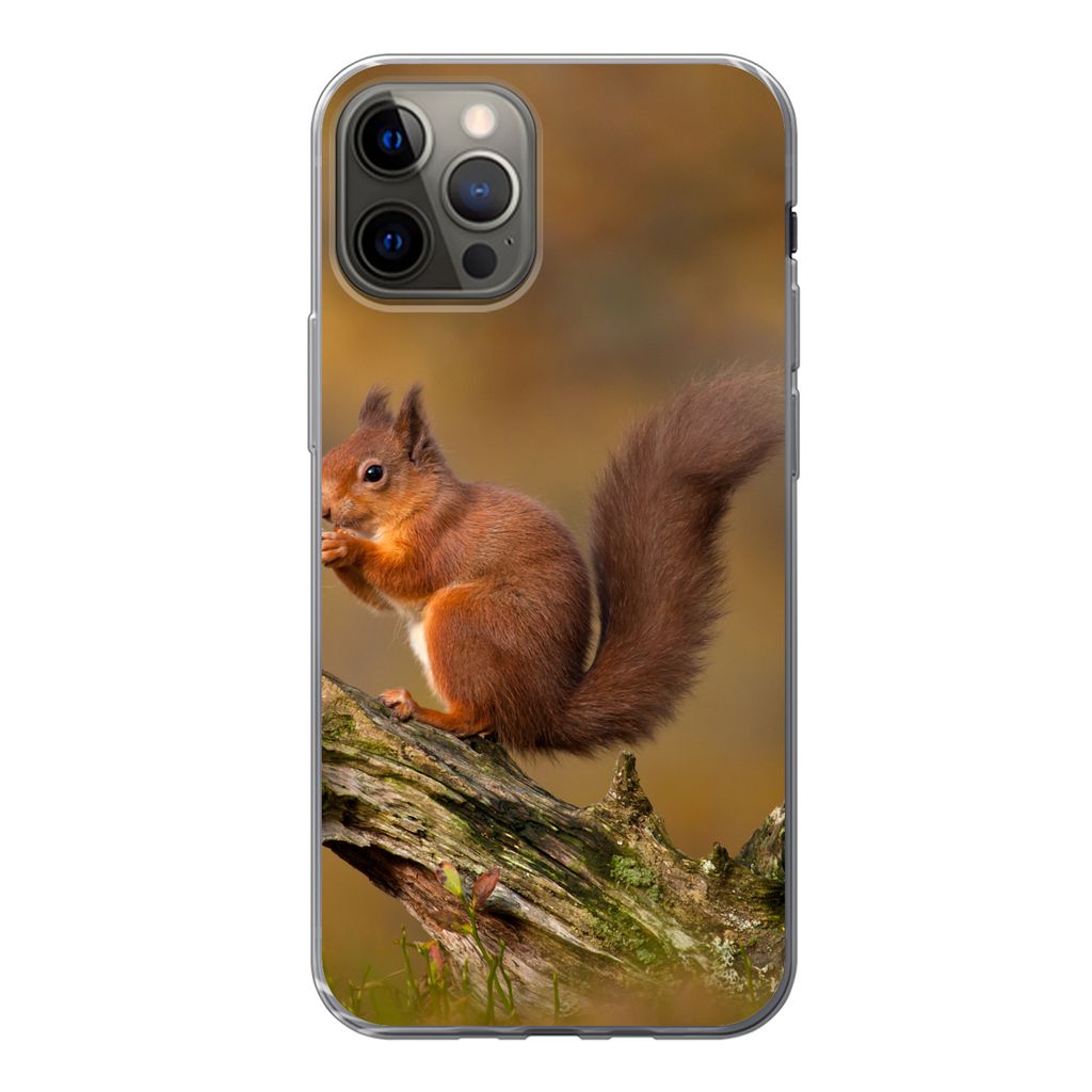 MuchoWow Handyhülle Schutzhülle Hülle für iPhone 12 Pro Eichhörnchen - Baumstamm - Wald Silikon Softcase Handy Hülle - Abdeckung