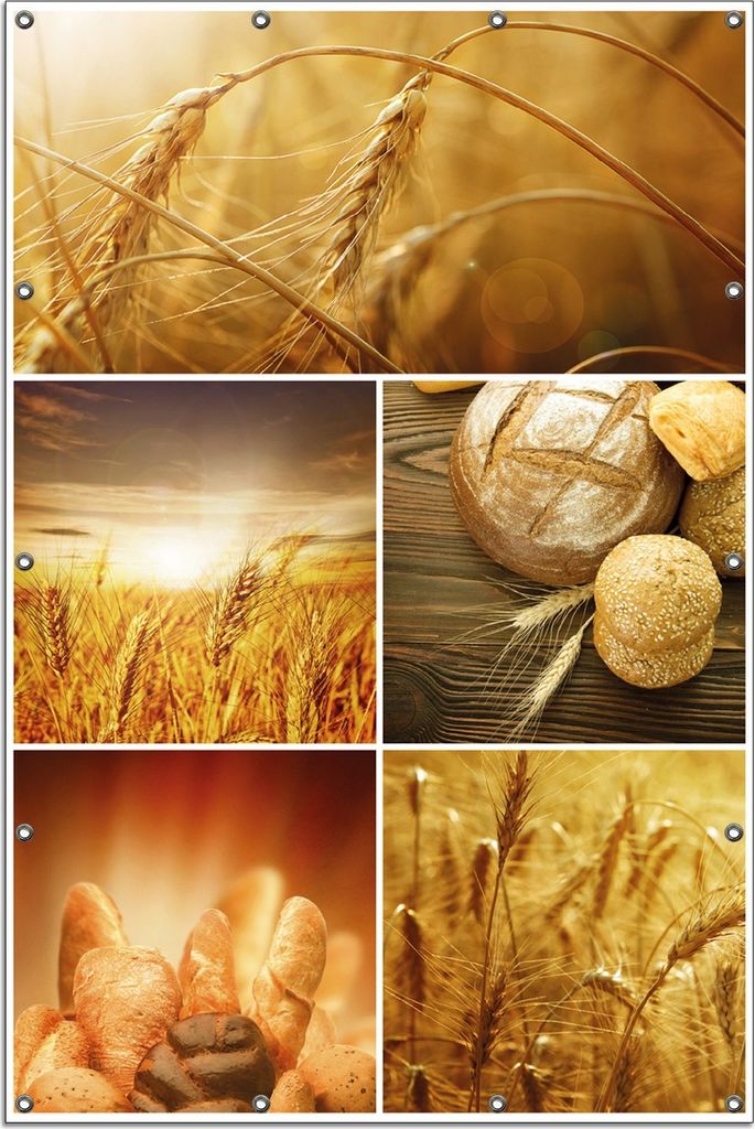 Wallario Outdoor-Poster für Garten oder Balkon, Motiv Getreide und Brotsorten aus Weizen, in ca. 120 x 180 cm