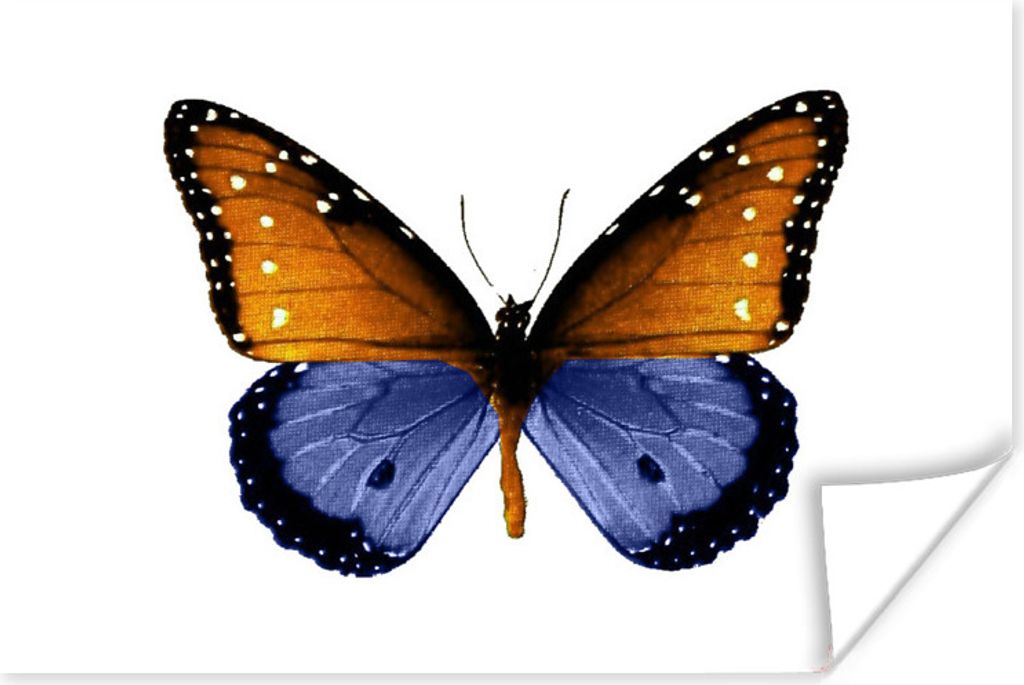 MuchoWow Poster Schmetterling - Punkte - Blau 30x20 cm - Plakate - Print
