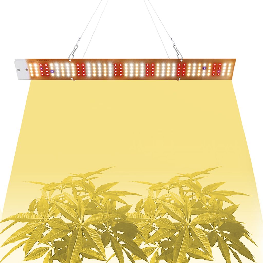 A grow light illuminates plants from above.