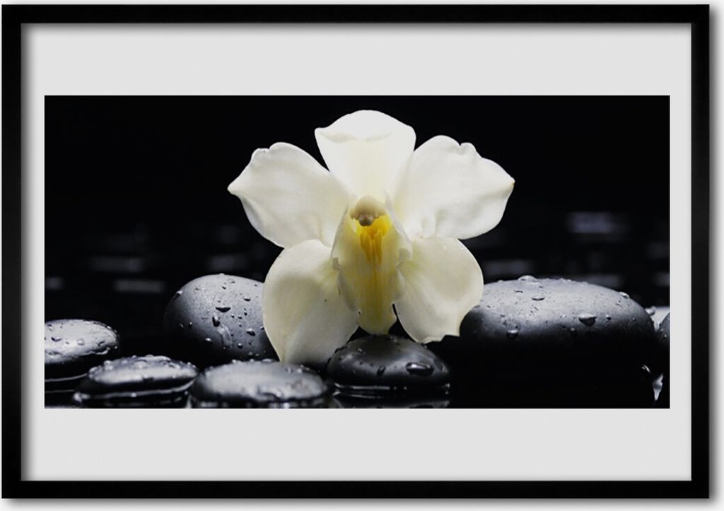 Bild 100x70 MDF-Rahmen Wandkunst Blume Orchidee Pflanze