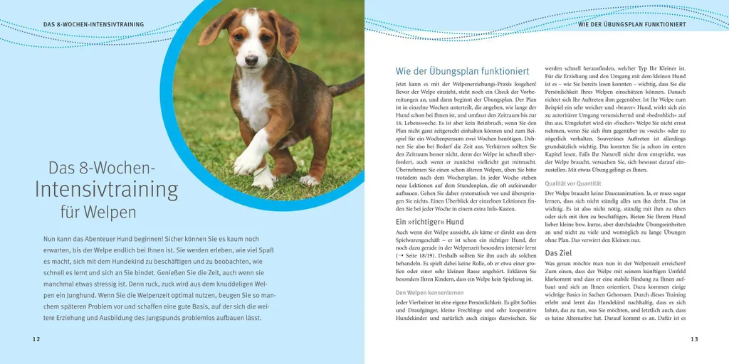 Guide Éducation Chiot : Méthode Complète Welpen-Erziehung pour Débutant