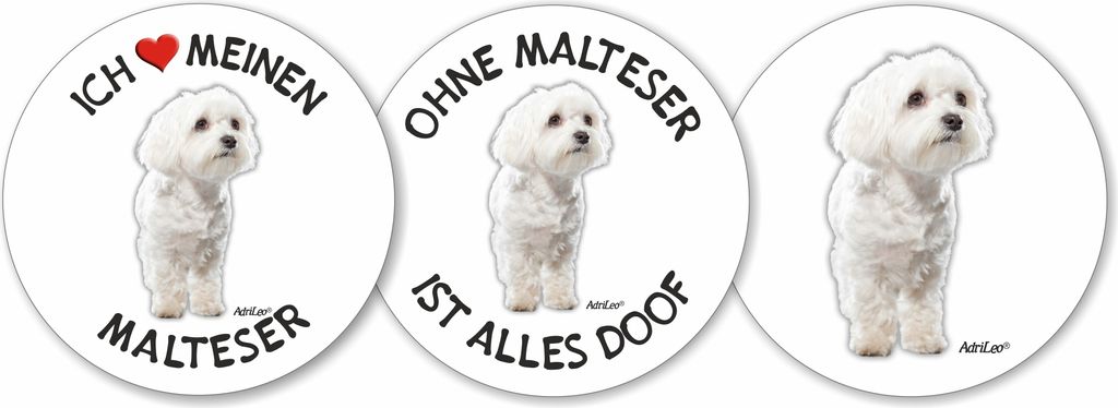 Runde Aufkleber 3er-Set - Malteser - Ø 9,5cm - Deko Autoaufkleber Sticker Hund