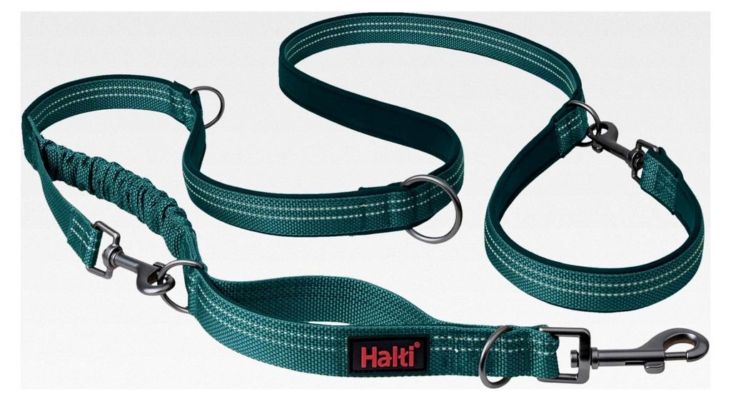 Anatomie Multifunktionsleine – Doppelführleine mit zwei Karabinern und Ruckdämpfer, geeignet für Gassigehen und Hundetraining. Reflektierend u...