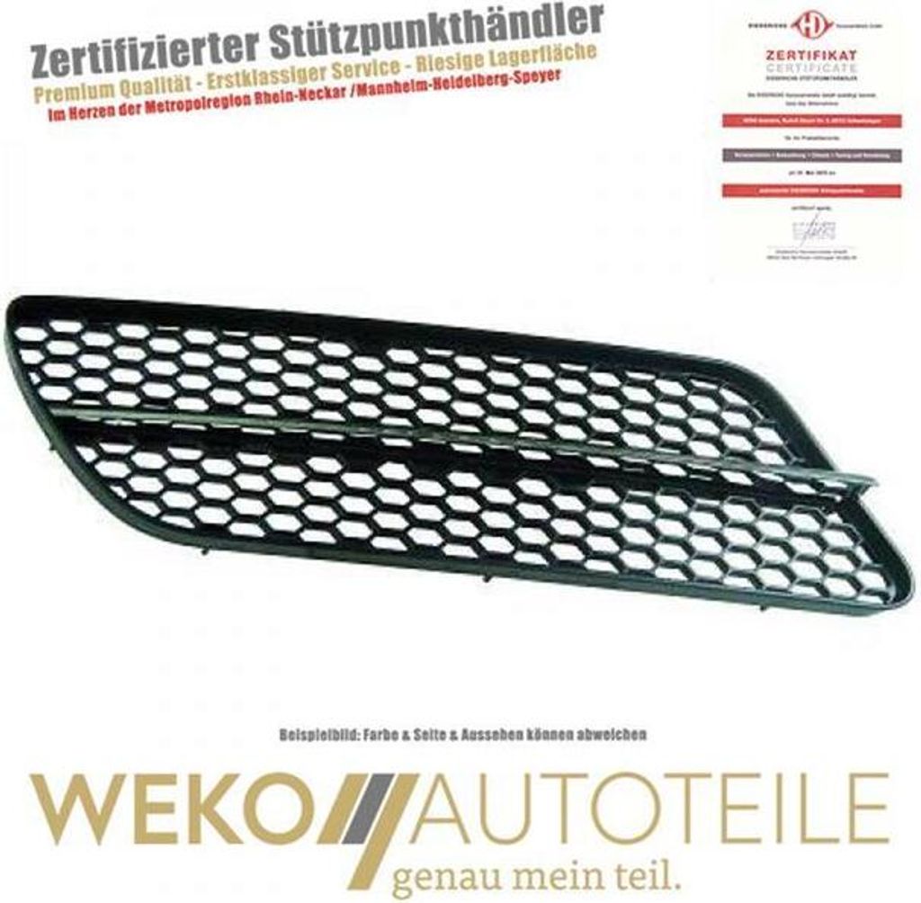 Diederichs Stossstangengrill li. Alfa 147, 05->>