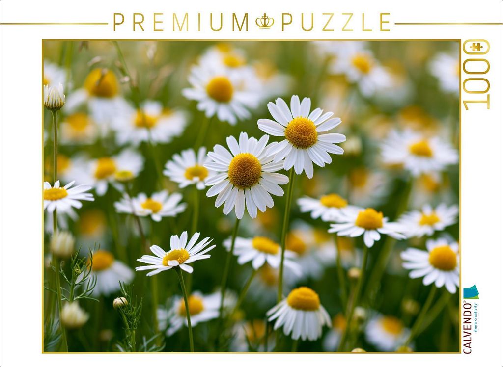 CALVENDO Puzzle Der Sommer braucht keine Worte, nur Licht und Wind | 1000 Teile Lege-Größe 64x48cm Foto-Puzzle für glückliche Stunden