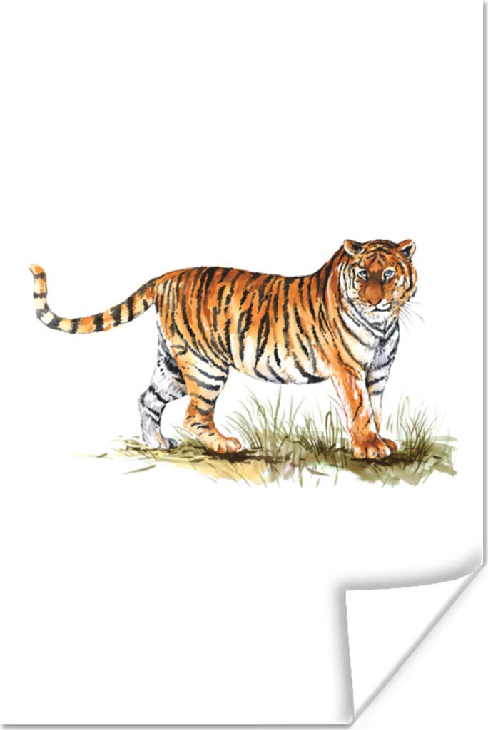 MuchoWow Poster Tiger - Weiß - Bild 120x180 cm - Kunstposter