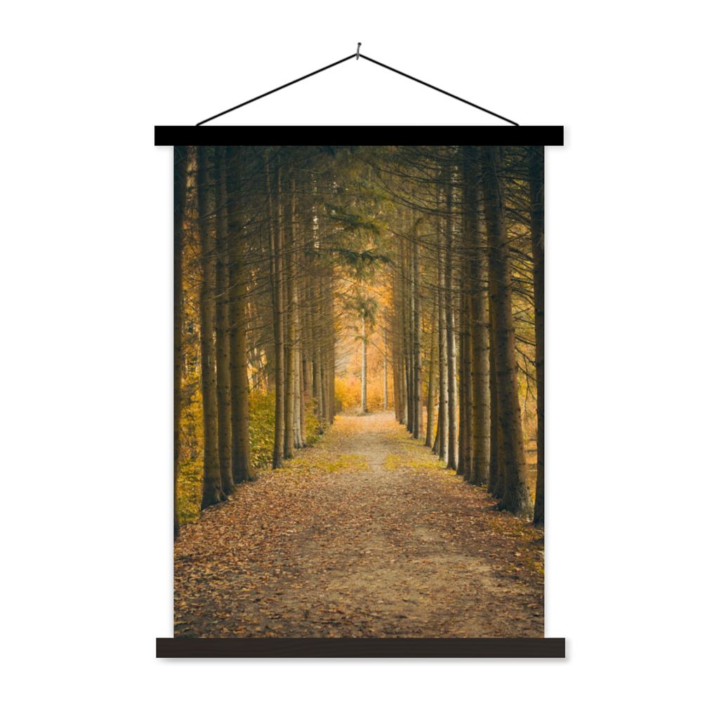 MuchoWow Textilposter Pfad - Bäume - Wald 120x160 cm mit schwarzem Rahmen - Magnetischer