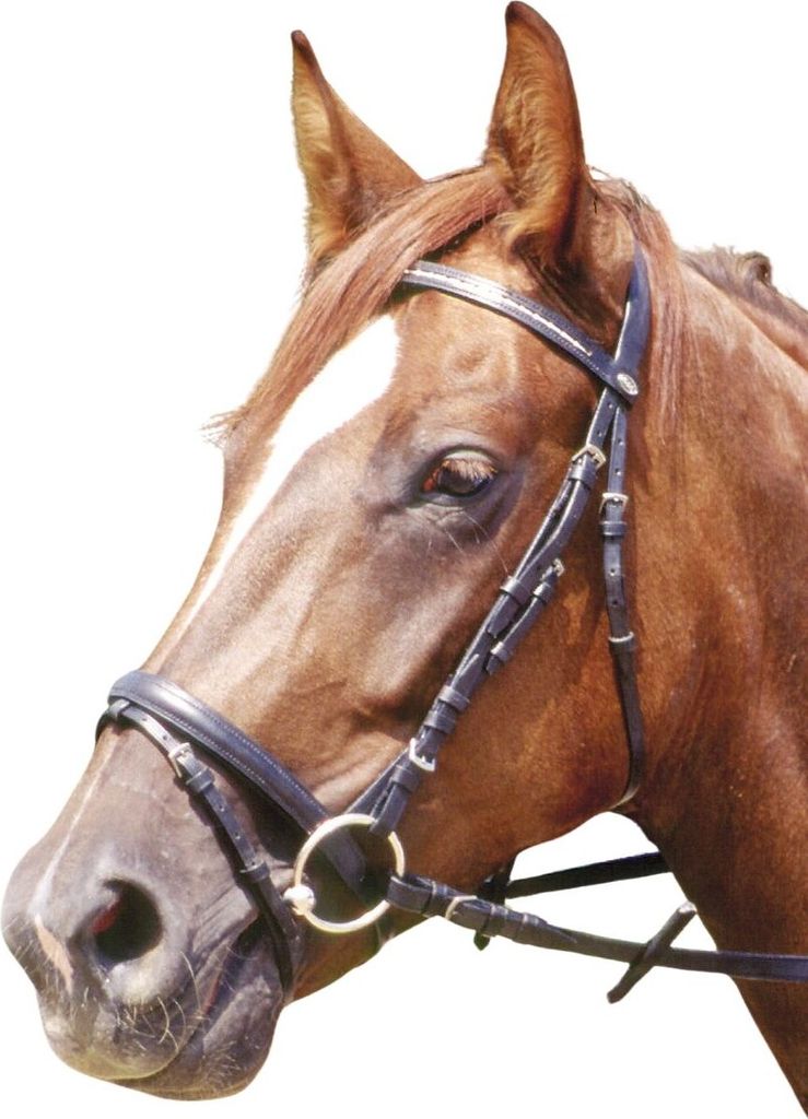 Trensenzaum Clincher Zaum Clincher in Dunkelbrau & C/S