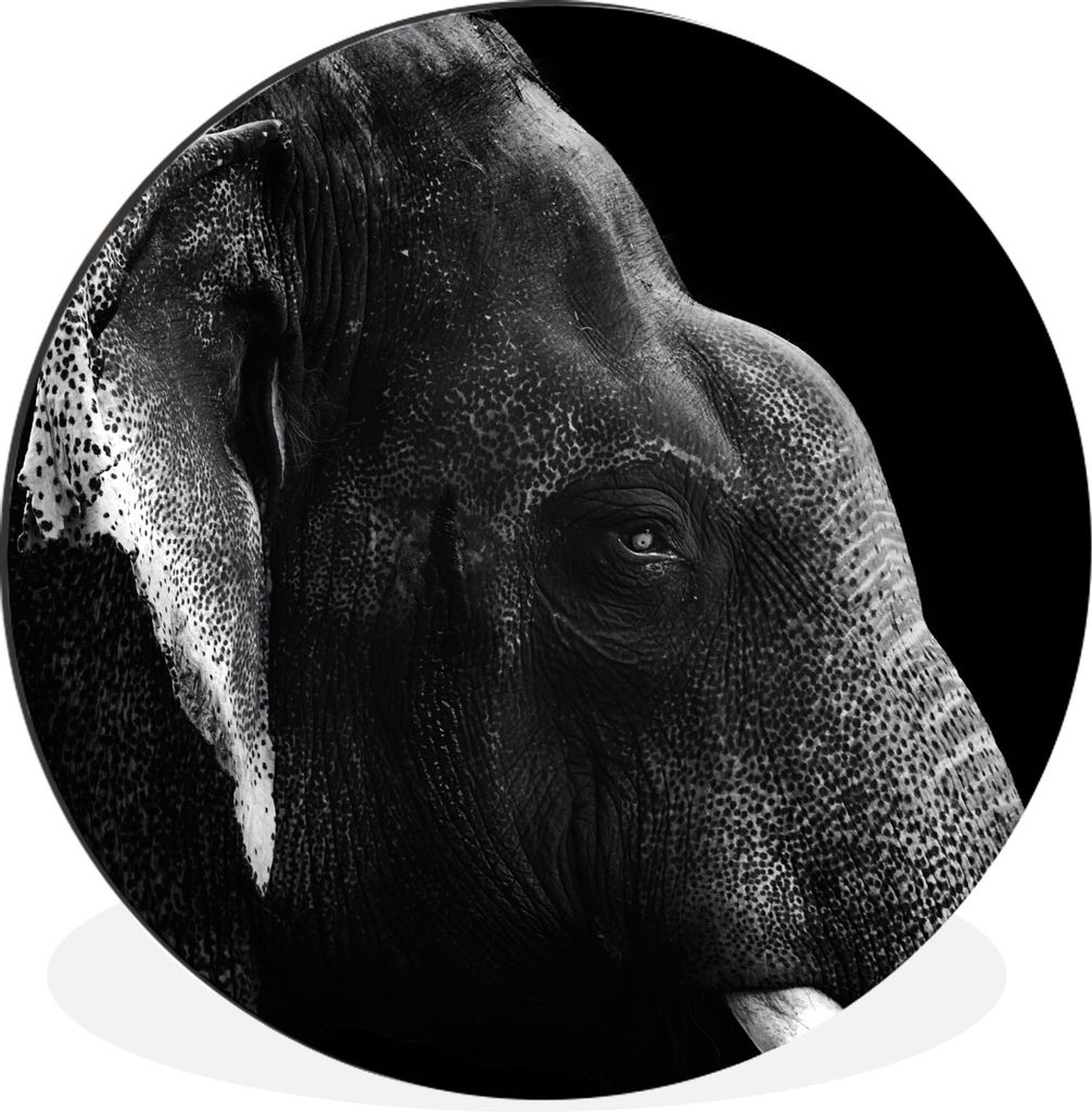 MuchoWow Aluminium Wandkreis Tierprofil Elefant in Schwarz und Weiß Ø 60 cm Wanddeko Modern Wohnzimmer - Wand Kreis - Wandbild - Schlafzimmer -...