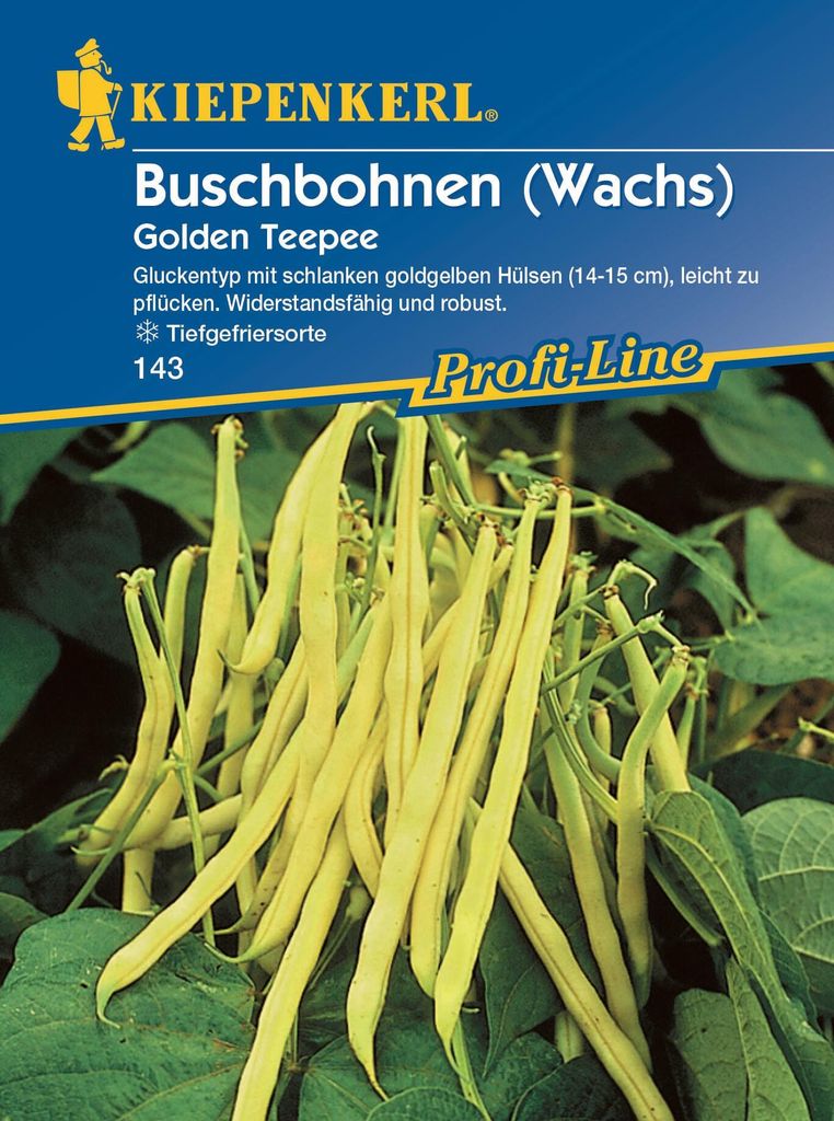 Kiepenkerl Profi-Line Buschbohnensamen Golden Teepee