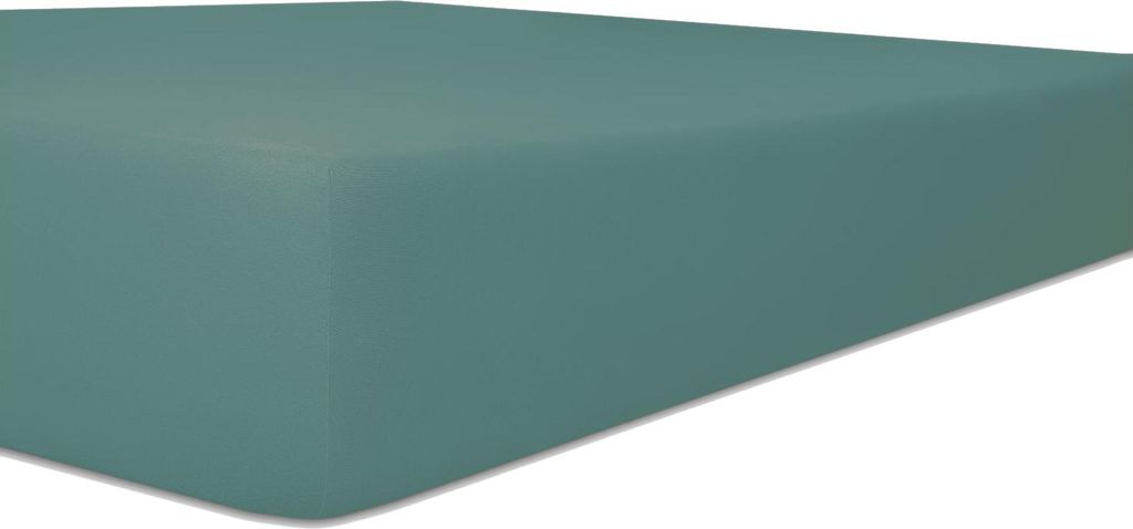 Kneer Single-Jersey Spannbetttuch für Matratzen bis 20 cm Höhe Qualität 60 Farbe salbei