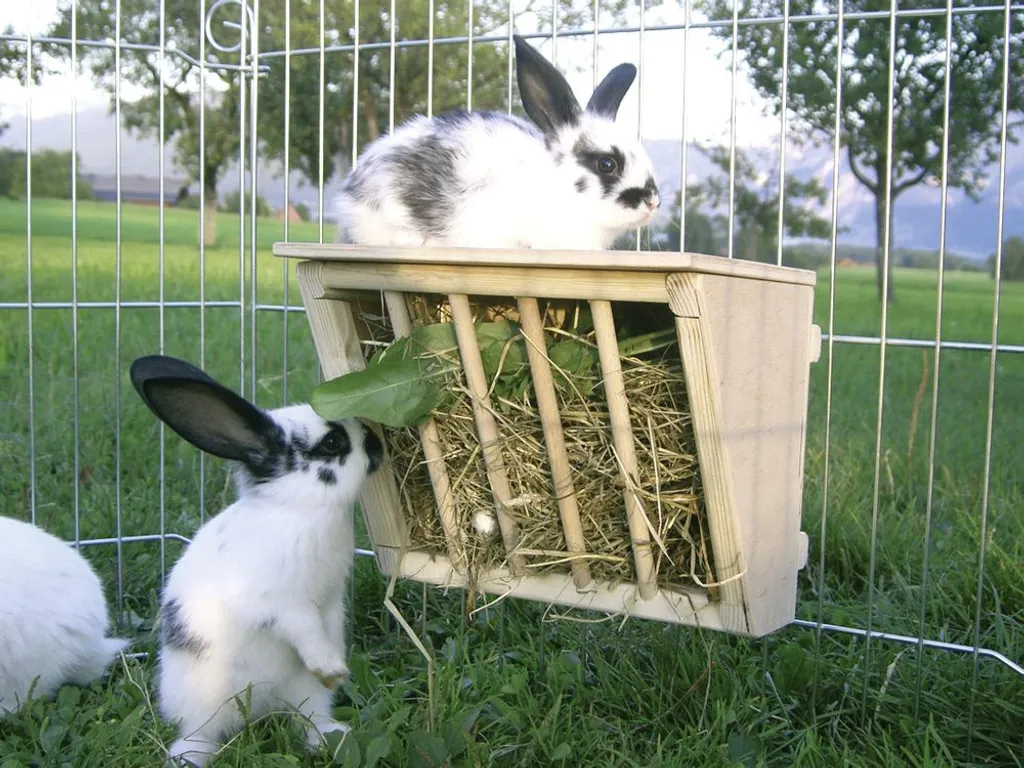 Râtelier à foin anti-gaspillage avec plateforme de repos pour lapin