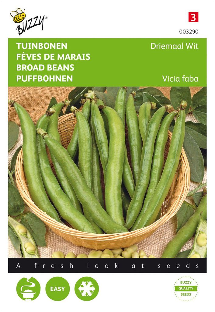 Puffbohnen Dreifach Weiße | Puffbohnensamen von Buzzy Seeds