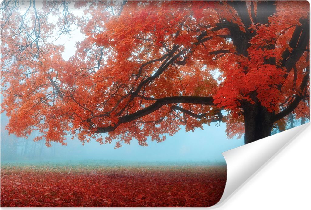 Muralo Vlies Fototapete Rote BLÄTTER Baum Wald Natur 3D Wanddeko Br. 460 cm x Hö. 300 cm