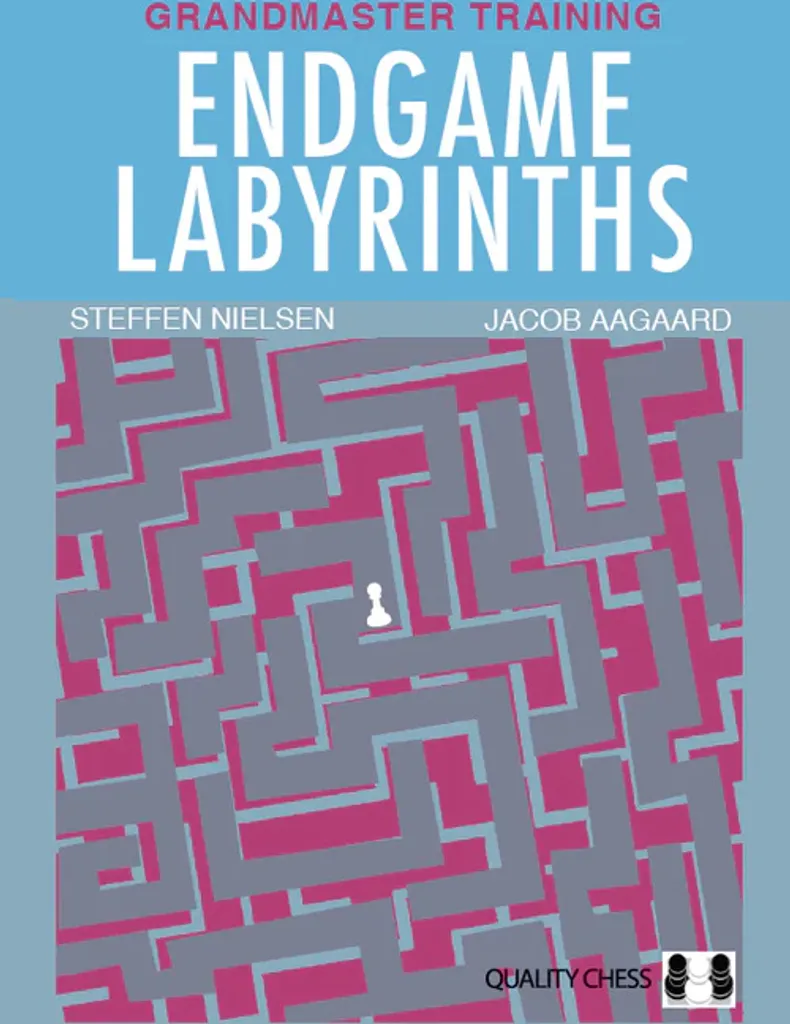 Endgame Labyrinths Études de Finales d'Échecs de Jacob Aagaard Relié