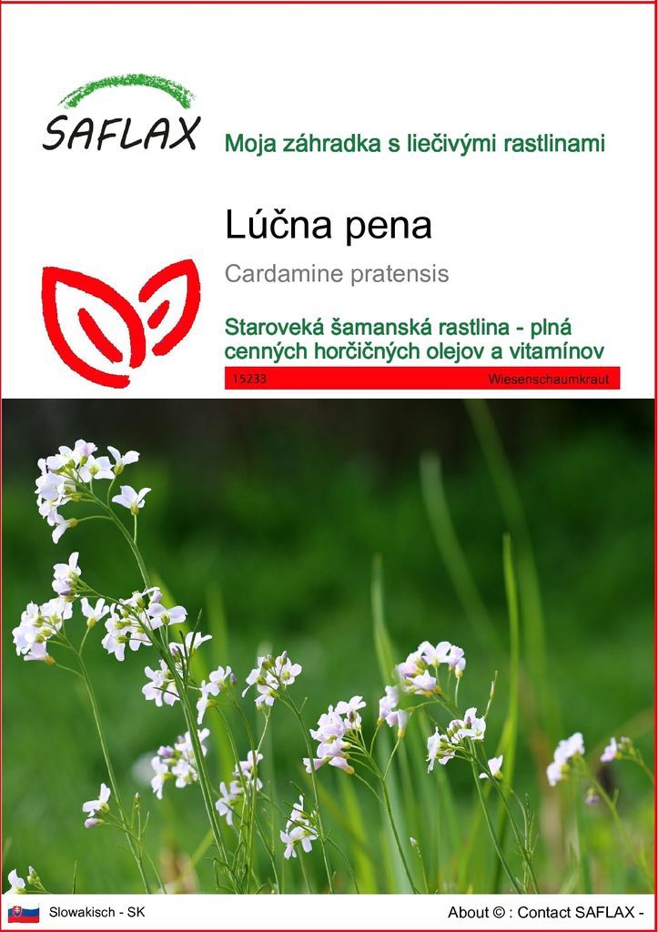 SAFLAX - lúčna pena - Cardamine pratensis - 100 Semená Obrázok produktu 