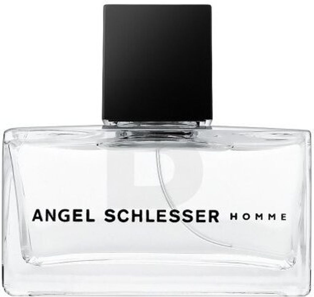 Angel Schlesser Homme Eau de Toilette für Herren 75 ml