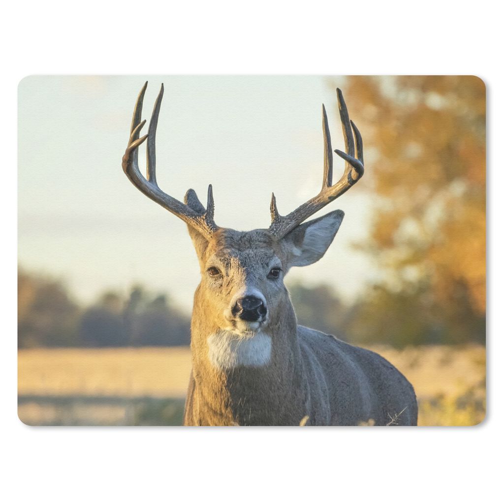 MuchoWow Mauspad Mousepad Hirsche - Gras - Herbst - Geweih - Natur - Tiere 23x19 cm - Mousepads - Maus Mat - Pad - Mausunterlage - Schreibtischun...