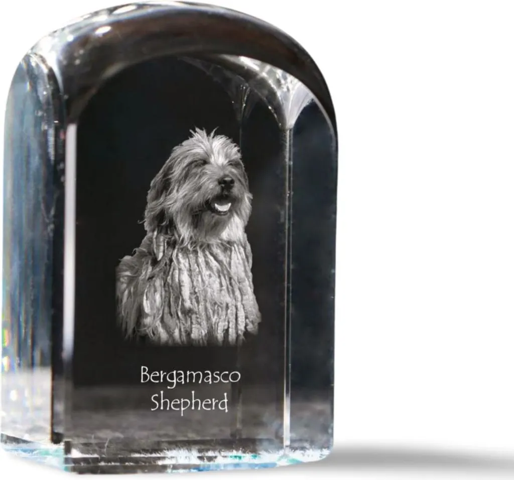 Cadeau Chien Berger de Bergame Cube Cristal Inaltérable Photo Verre