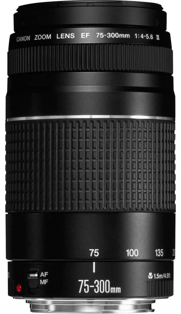 Zoom Canon EF DC 4,0-5,6/75-300 III 6473A015 Image du produit 