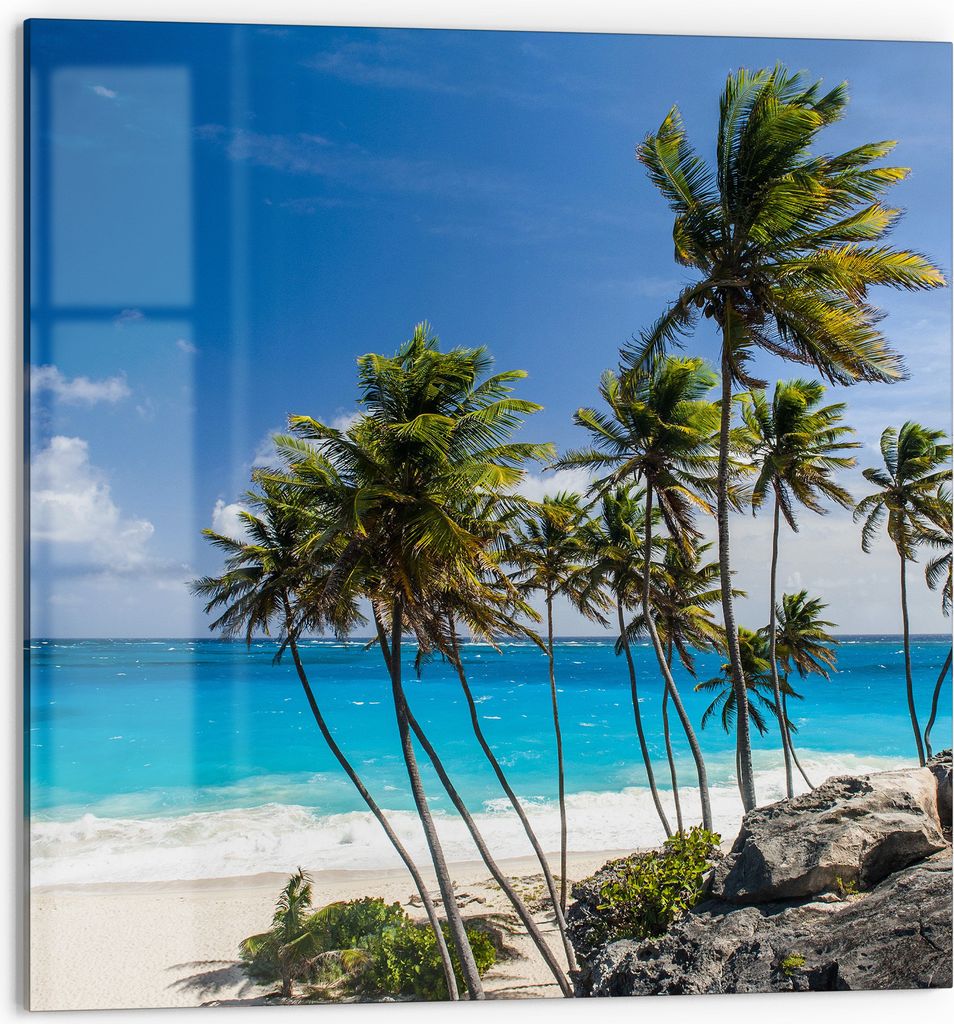 DEQORI Küchenrückwand Glas 60x60 cm 'Tropenparadies' Spritzschutz Bad Rückwand Küche