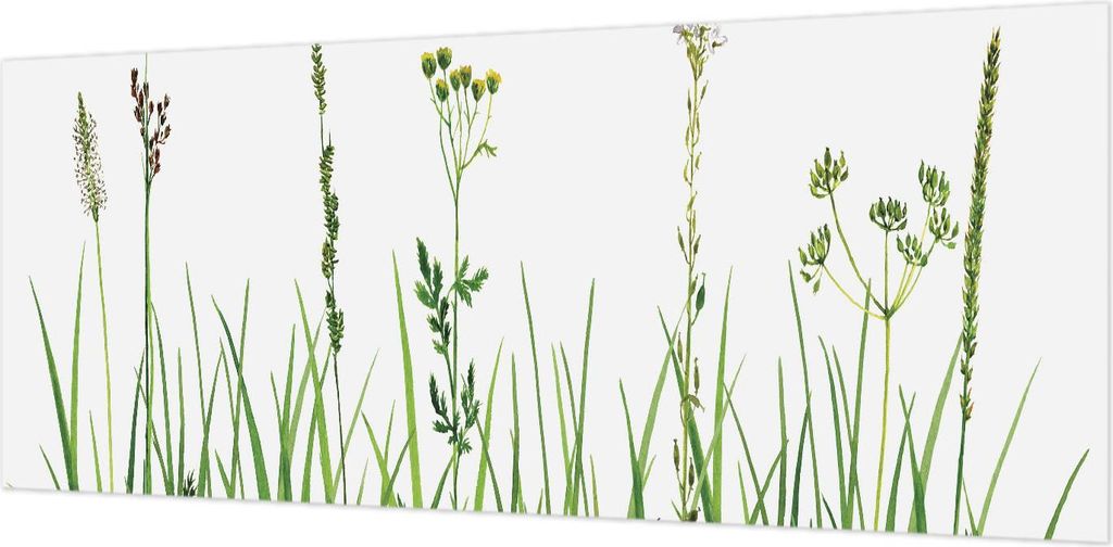 Wandtapete - Dekorative Tapete für Wohnzimmer- Tapetenfolie für Wanddekoration - 208x146 cm - Zarte Flora