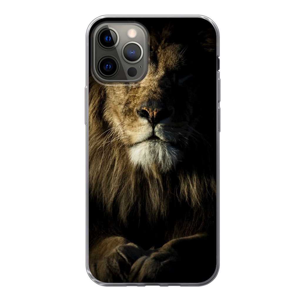 MuchoWow Handyhülle Schutzhülle Hülle für iPhone 13 Pro Löwe - Licht - Schwarz Silikon Softcase Handy Hülle - Handy-Tasche