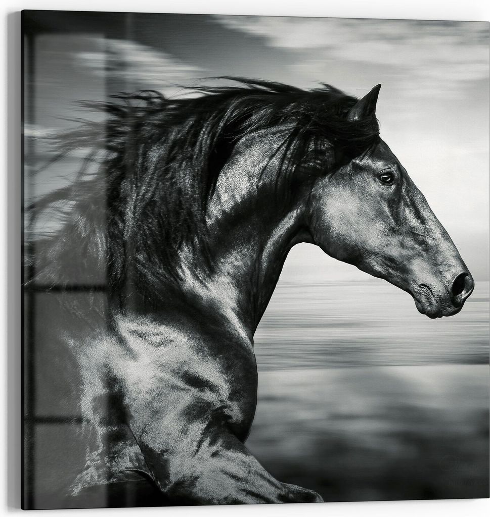 DEQORI Glasbild Echtglas 50x50 cm 'Galoppierendes Pferd' Wandbild Bild modern Deko