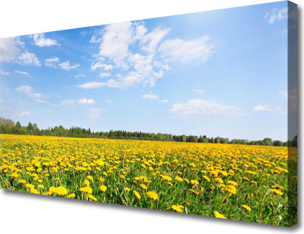 Tulup Leinwand-Bilder 100x50 Wandbild Canvas Kunstdruck Löwenzahn Wiese Landschaft