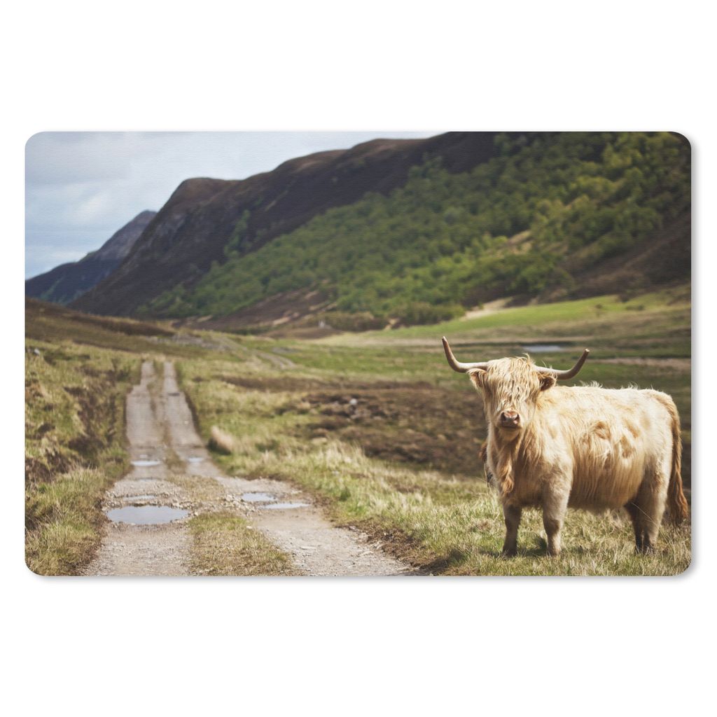 MuchoWow Schreibtischunterlage Schottische Highlander - Pfad - Wald 60x40 cm - XXL Mauspad - Großes Mauspad