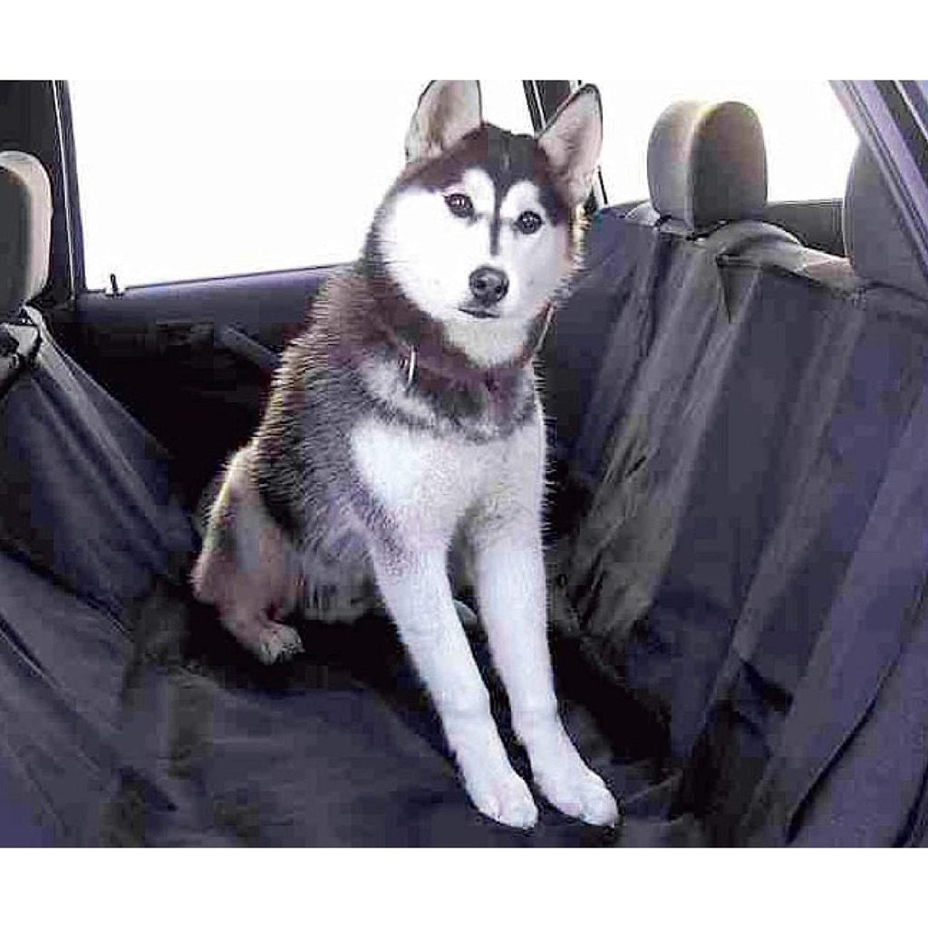 2er Set Autoschondecke Hund 165 x 145 cm Hundedecke Produktbild 