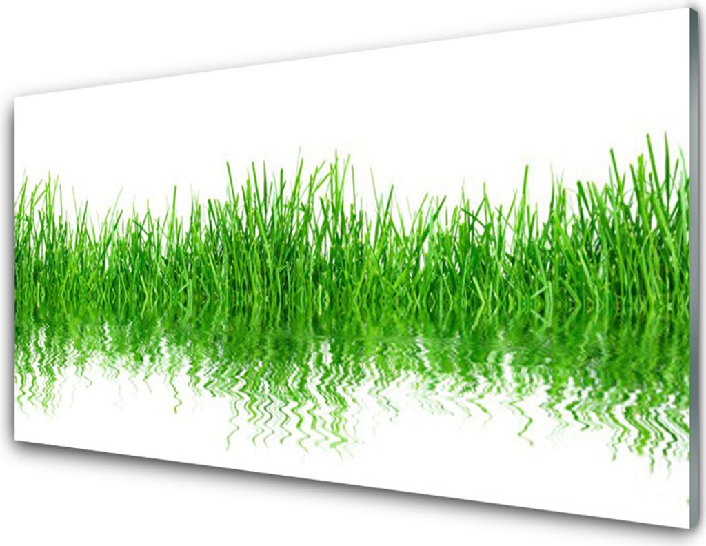 Küchenrückwand aus Glas 100x50cm Spritzschutz Gras Natur